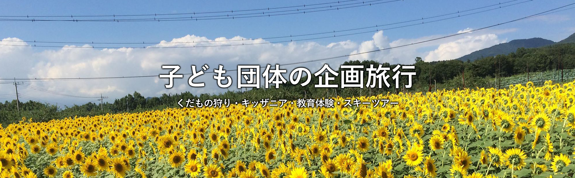 子ども団体の企画旅行：くだもの狩り・キッザニア・教育体験・スキーツアー